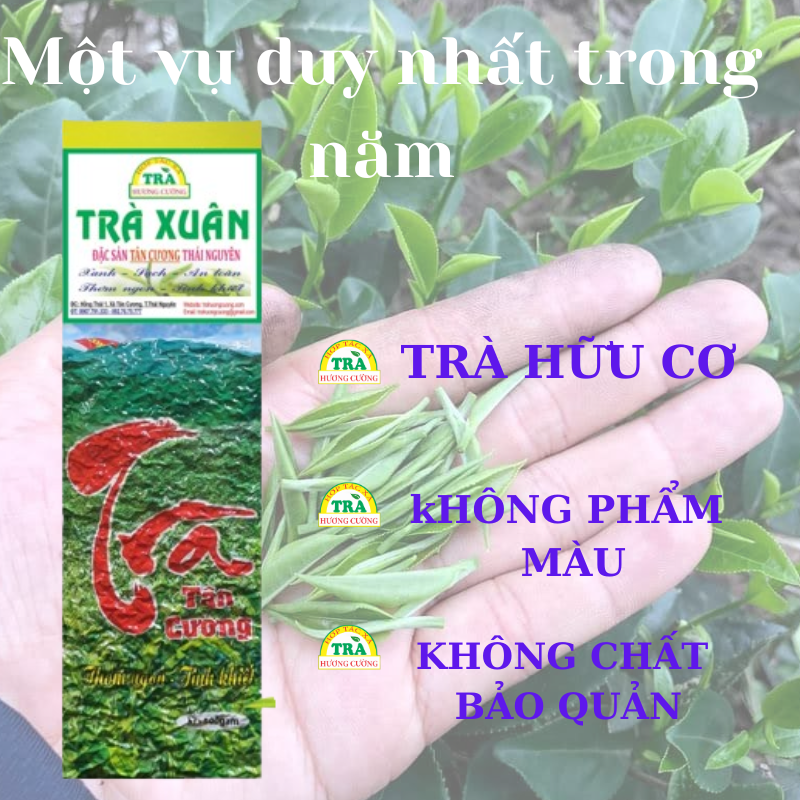 tra xuan 500gr