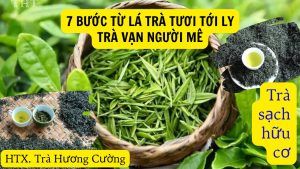 7 buoc che bien tra thai nguyen huu co