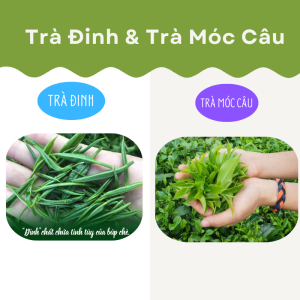 su khac biet giua tra dinh va tra moc cau thai nguyen