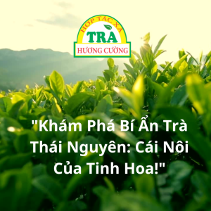 kham pha bi an tra thai nguyen